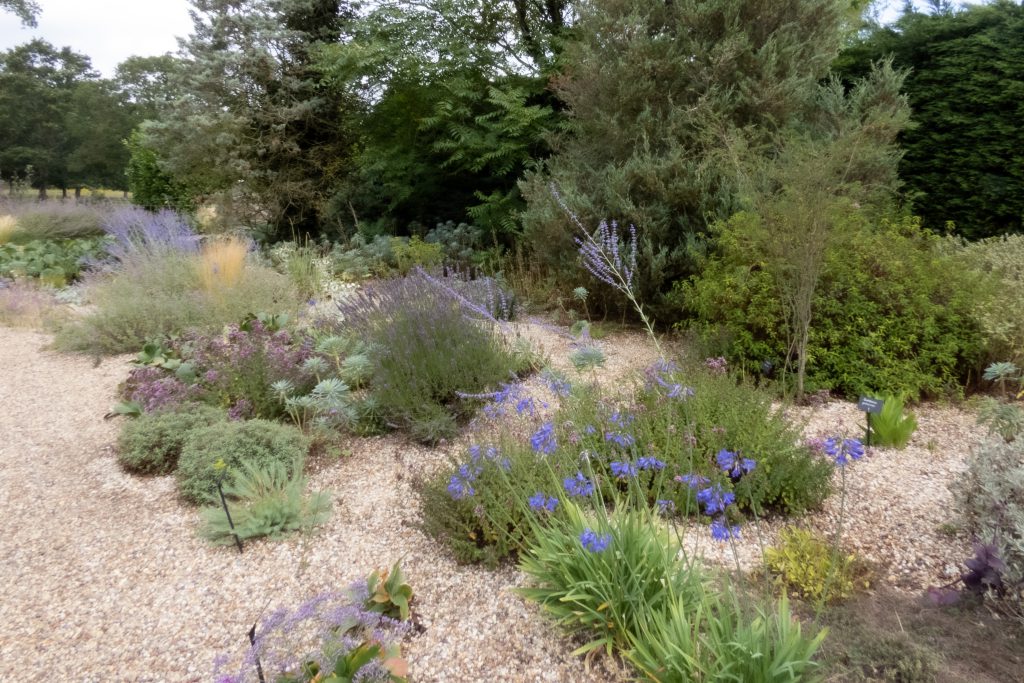 Summer Outing to Beth Chatto’s Garden